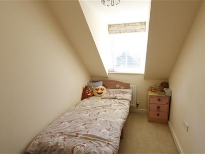 Picture 13